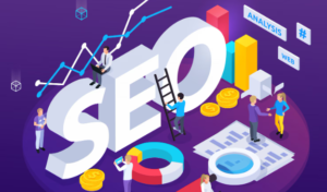 5 Best SEO companies in Miami 2026 : Top Picks